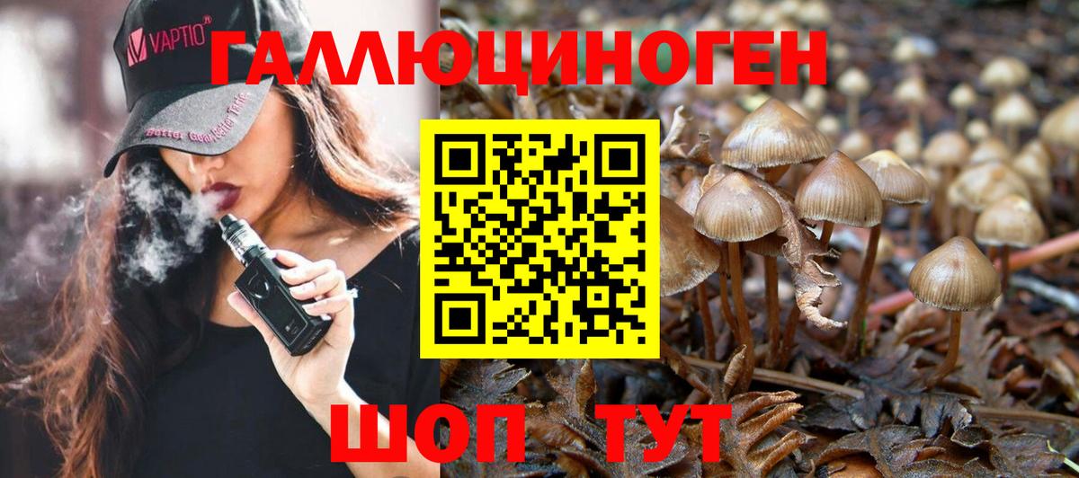 Псилоцибиновые грибы MAGIC MUSHROOMS Мценск